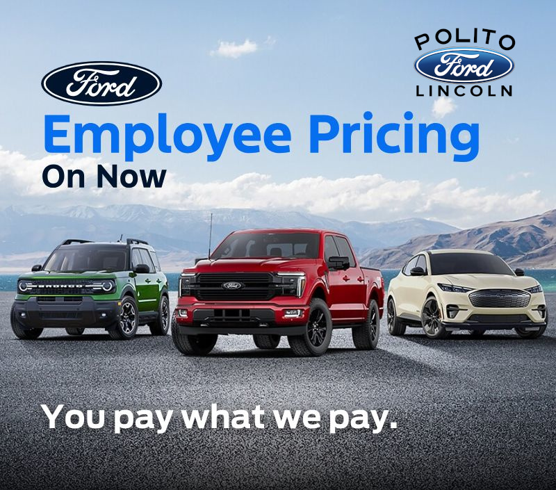 Polito - Mobile-1
